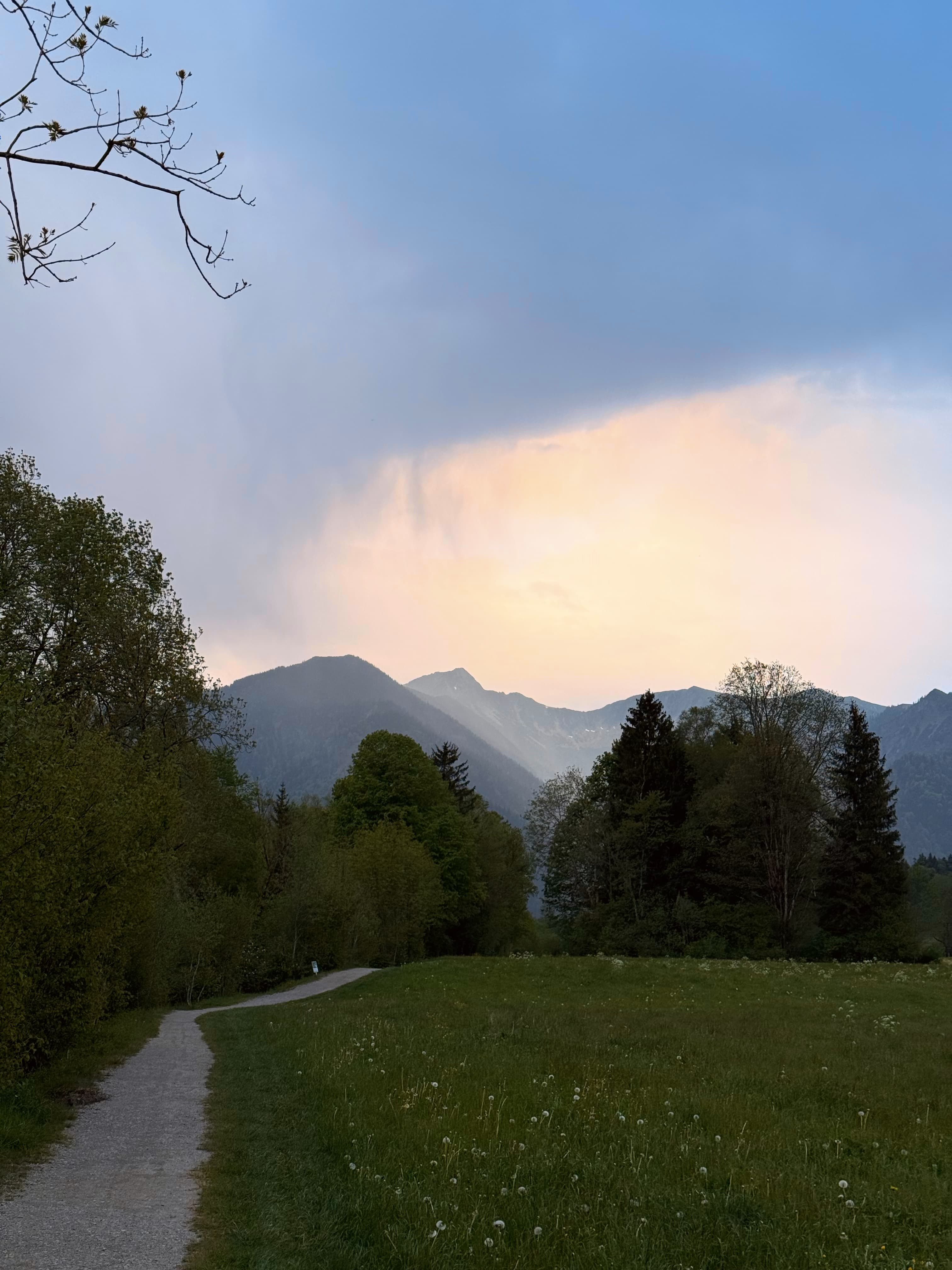 Running isn't just about fitness